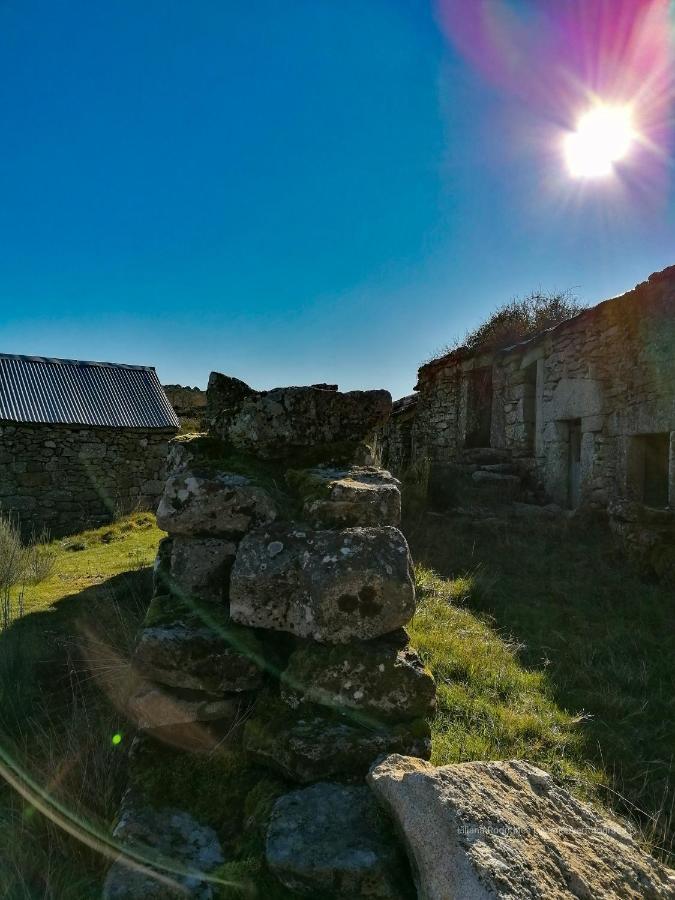 Casa Largo S Lourenco E Casa Da Videira Mazes Εξωτερικό φωτογραφία