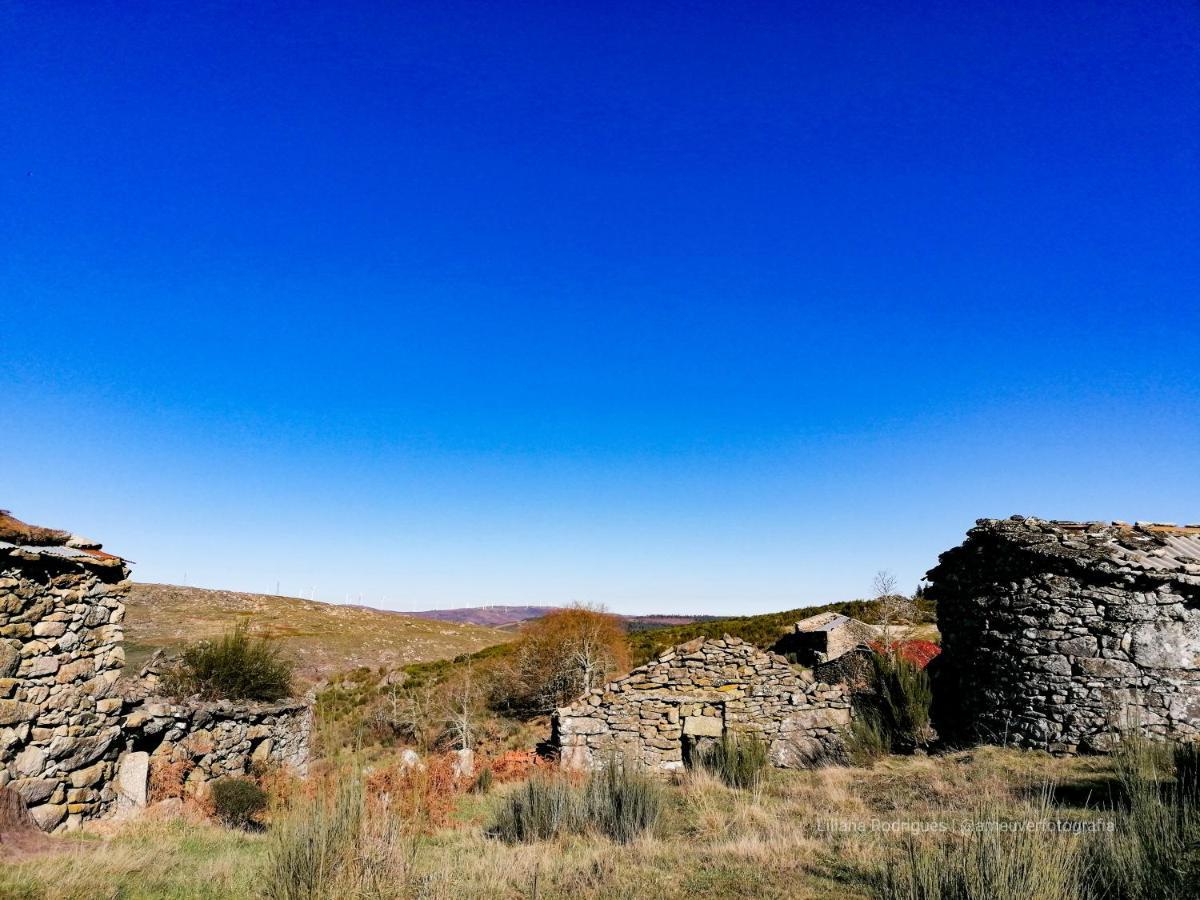 Casa Largo S Lourenco E Casa Da Videira Mazes Εξωτερικό φωτογραφία