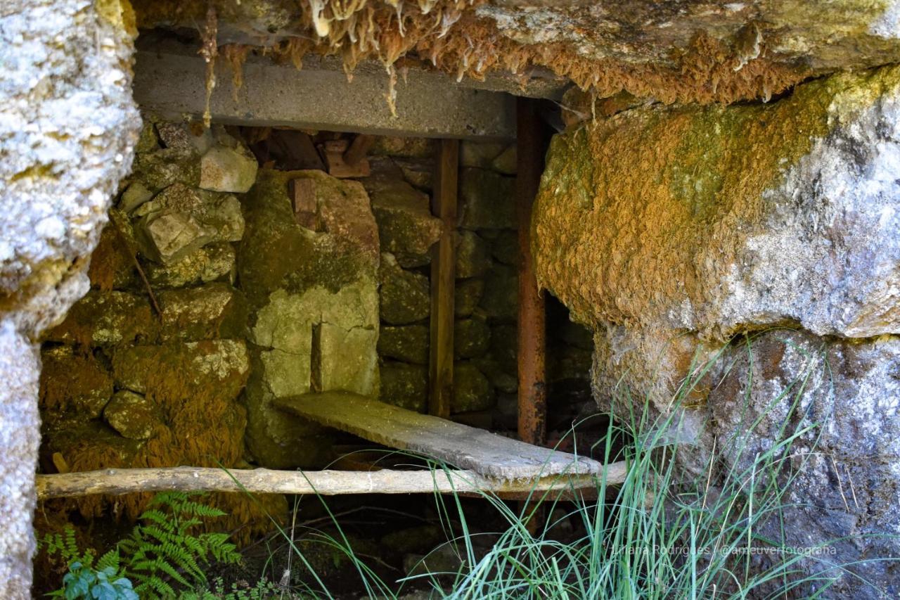 Casa Largo S Lourenco E Casa Da Videira Mazes Εξωτερικό φωτογραφία